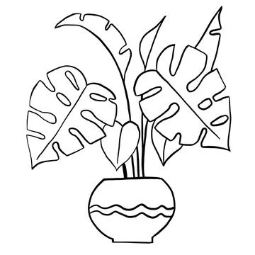Monstera tree in a pot in black line outline cartoon style. Coloring book Stock Illustration