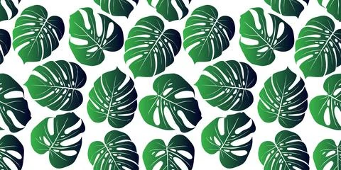 Monstera tropical leaf illustration. Vector banner. Seamless Pattern. Stock Illustration