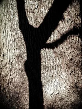 Monsters in our imaginations. Stock Photos