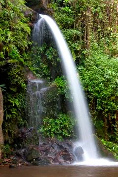 Monta stream.waterfall Stock Photos