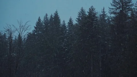 Montage of different mountain scenes in winter.  Stock Footage 81797508