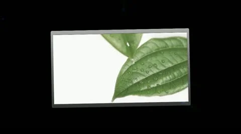 Montage of the elements of nature Stock Footage 12289931