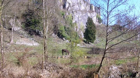 Montaigle Castle. Stock Footage 36217929