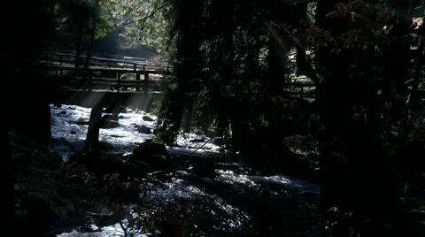 Montain stream 스톡 동영상 4215685