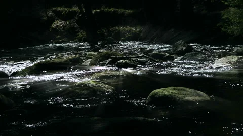 Montain stream 스톡 동영상 4216419