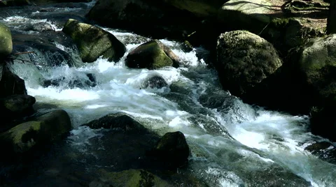 Montain stream 스톡 동영상 4218965