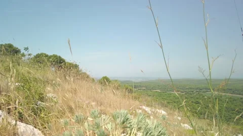 Montain view through some plants Video stock 138800278