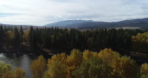 Montana Bitterroot River Fall Color 動画素材 172672376