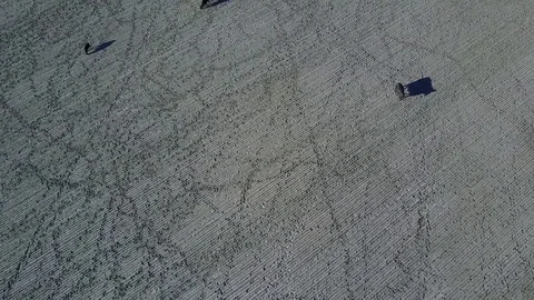 Montana Cattle Stock Footage 82584342