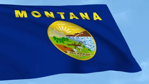 Montana flag waving on a clear blue sky Stock Footage 323636053