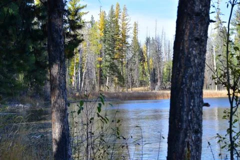 Montana forest lake Stock Photos