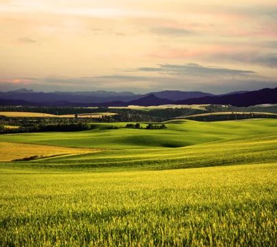 Montana Stock Illustration