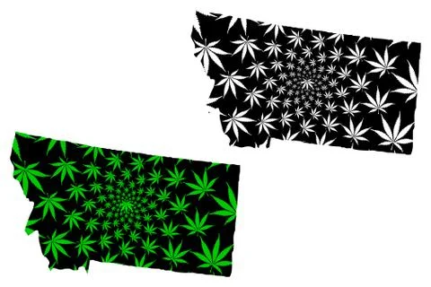 Montana - map is designed cannabis leaf Stock Illustration