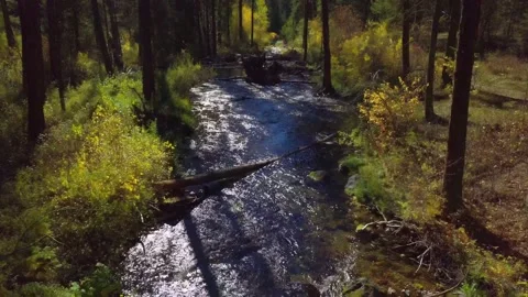 Montana River Fall 스톡 동영상 152344659