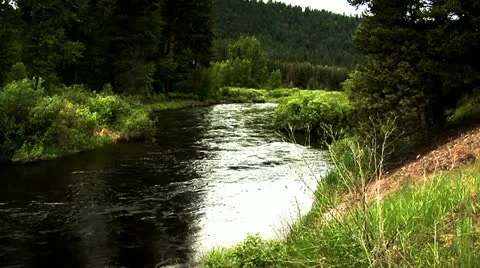 Montana River Stock Footage 10887708