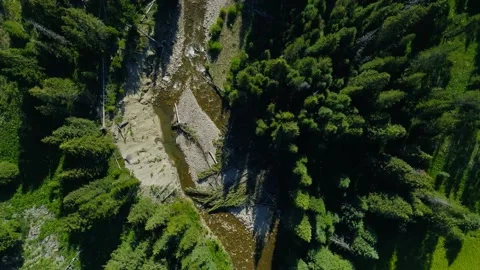 Montana River Stock Footage 235126166
