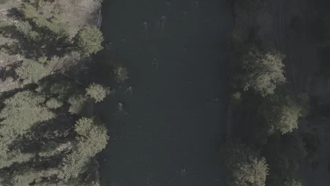 Montana River Rapids Top Down Drone Stockbeeldmateriaal 248736780
