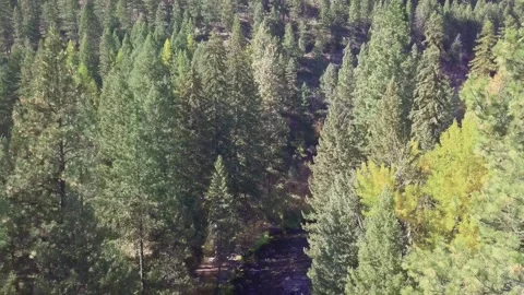 Montana River002 스톡 동영상 152344611