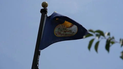 Montana State Flag Stock Footage 131064851