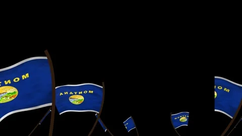 Montana State Flags Waving Crowd. Realistic 4K 60fps Seamless Loop Stock Footage 338406019