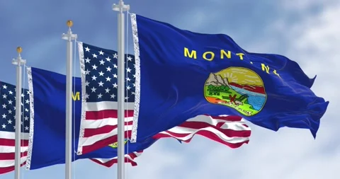 Montana state flags waving in the wind with the American flags on a clear day Stock Footage 296382822