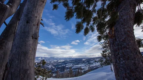 Montana - Winter Push Through Trees - 4K Timelapse Stock Footage 144988904