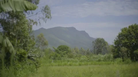 Montane environment Stock Footage 151333656