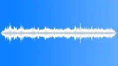 Montane Forest Atmosphere GeneralSound Effect