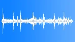 Montane Forest Atmosphere General Sound Effect