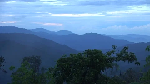 Montane forest, Malaysia Stock Footage 196134906