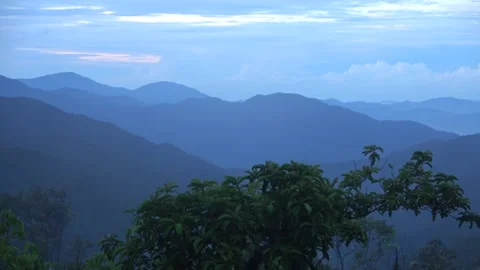 Montane forest, Malaysia Stock Footage 196134946
