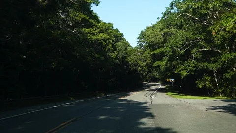 Montauk State Highway Video stock 129386947