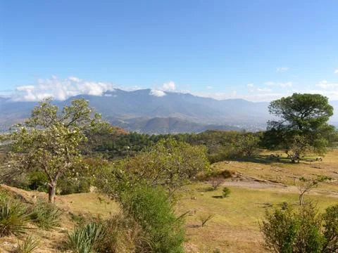 Monte Alban Stock Photos