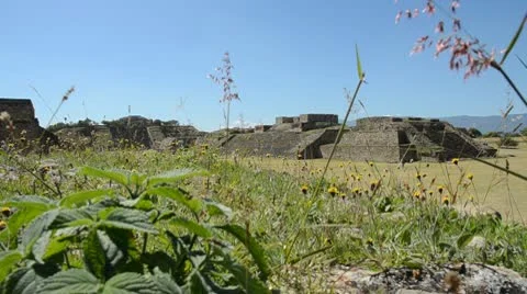 Monte Alban ruins 動画素材 10734616
