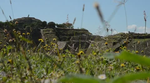 Monte Alban ruins Stock Footage 10734620