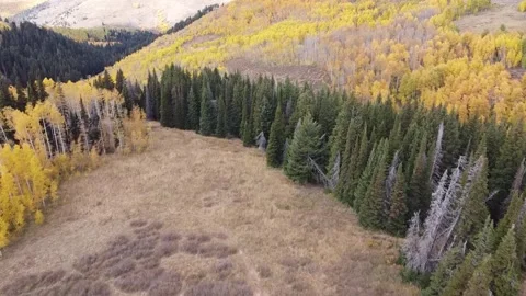 Monte Cristo Mountains in the Fall 1 库存影片 282304302