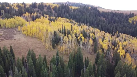 Monte Cristo Mountains in the Fall 2 库存影片 282304297