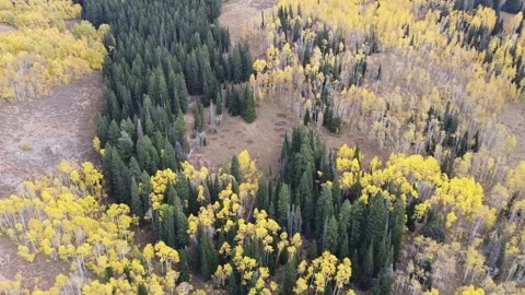 Monte Cristo Mountains in the Fall 3 库存影片 282304350