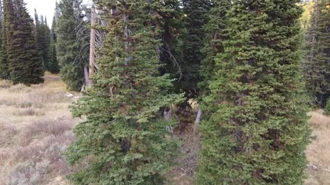 Monte Cristo Mountains in the Fall 4 库存影片 282304393