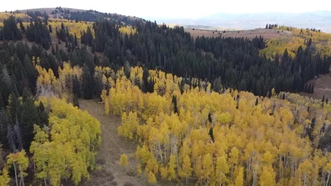 Monte Cristo Mountains in the Fall 5 库存影片 282304333