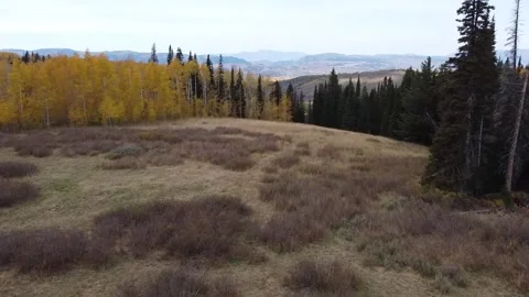 Monte Cristo Mountains in the Fall 7 库存影片 282304502