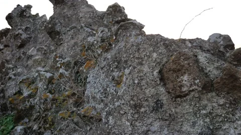 Monte Tuscolo Vidéo 142969039