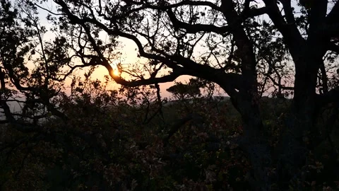 Monte Tuscolo Vidéo 142969114