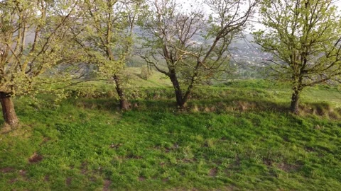 Monte Tuscolo Vidéo 153983646