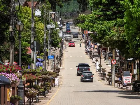 Monte verde Stock Photos