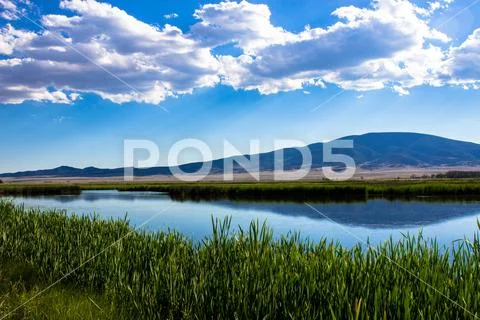 Monte Vista National Wildlife Refuge in Colorado Stock Photos