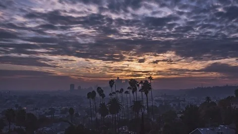 Montecito Heights Palm Trees 1-1-17 Sunset 321 pics 10 sec int 4KUHD 29.97 UH Stock Footage 84233287