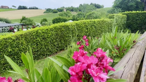Montegranaro, Italy Stock Footage 337271142
