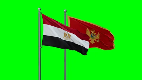 Montenegro and Egypt two flags Stock Footage 290088302