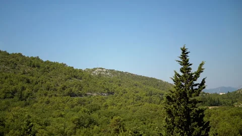 Montenegro Cypress Trees, Mountain View, Nature Stock-Footage 293253953
